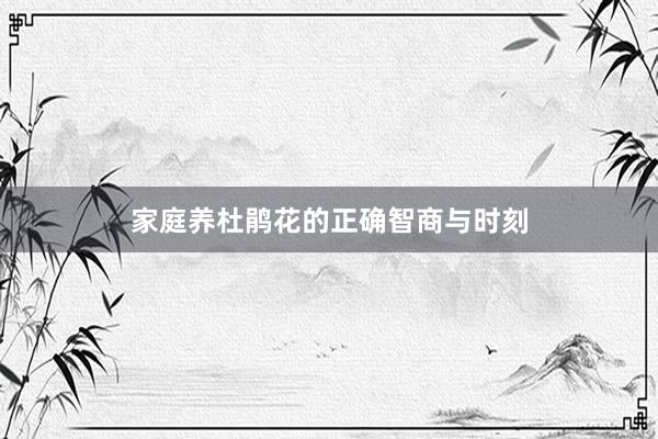 家庭养杜鹃花的正确智商与时刻