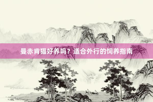 曼赤肯猫好养吗？适合外行的饲养指南