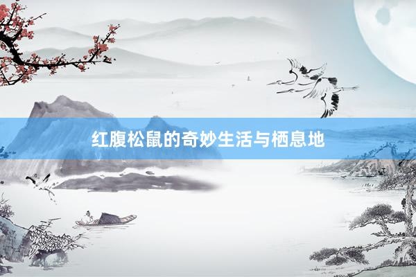 红腹松鼠的奇妙生活与栖息地