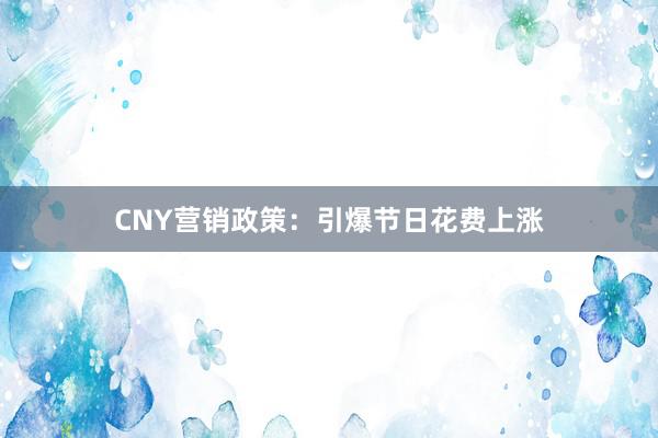 CNY营销政策：引爆节日花费上涨